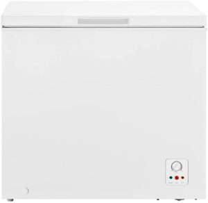 Hisense FC258D4AW1 Chest Freezer